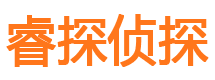 洛隆市侦探